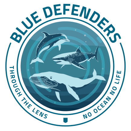 Blue Defenders - https://bluedefenders.org - Nature photografy