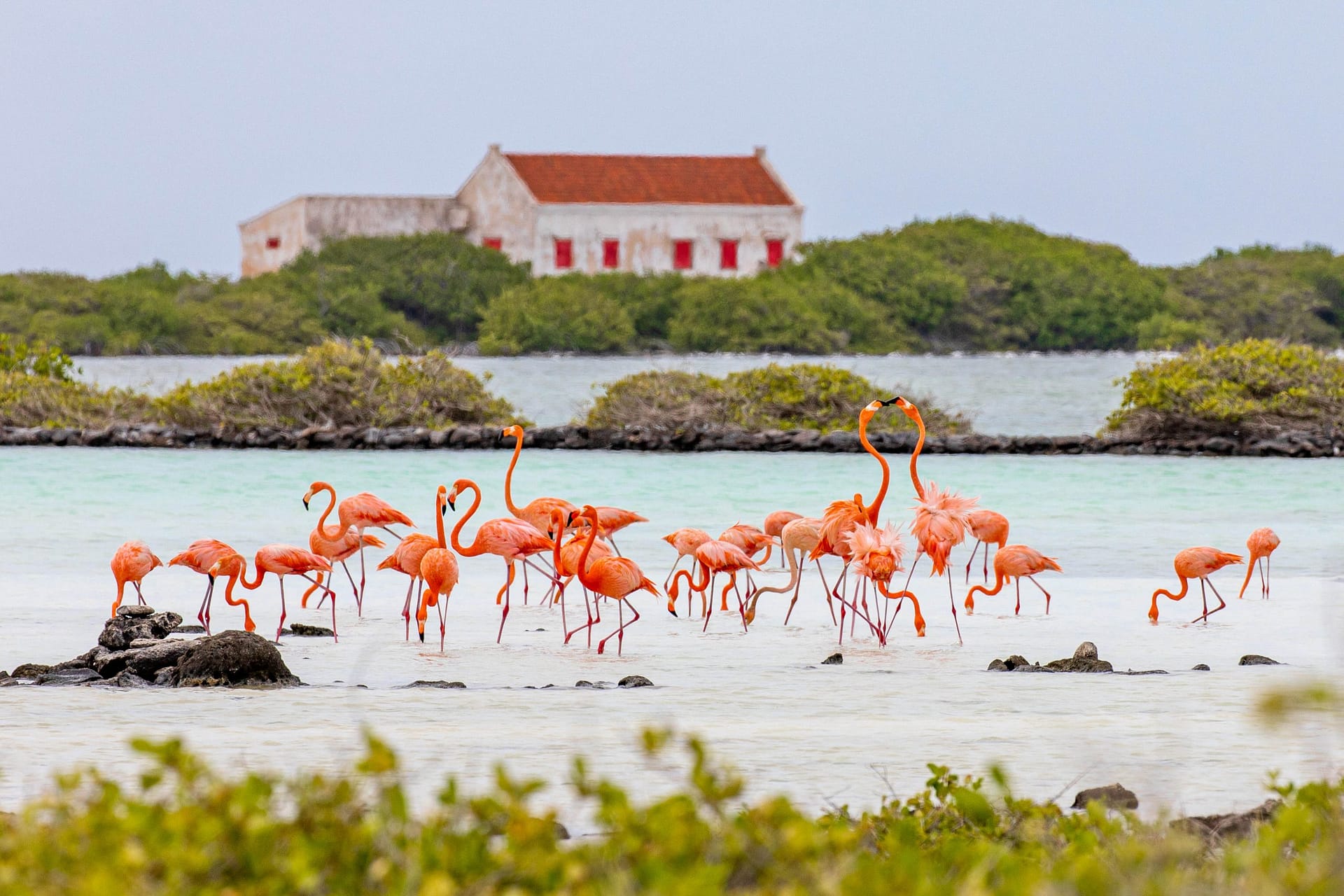 Photography on Bonaire » Casper Douma - Photography - Bonaire